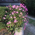 Guest house Des Claires