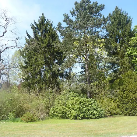 Des Claires Affittacamere Lasne