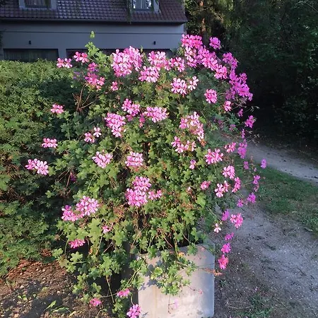 Guest house Des Claires