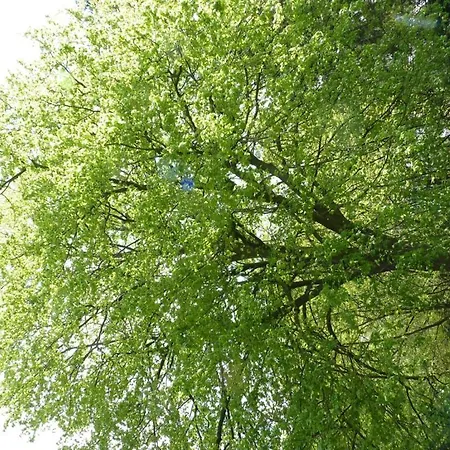 Des Claires Gasthuis